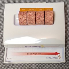 Drug Rep Promo AstraZeneca Cholesterol Artery Display Model w Educ. Flyers 2007