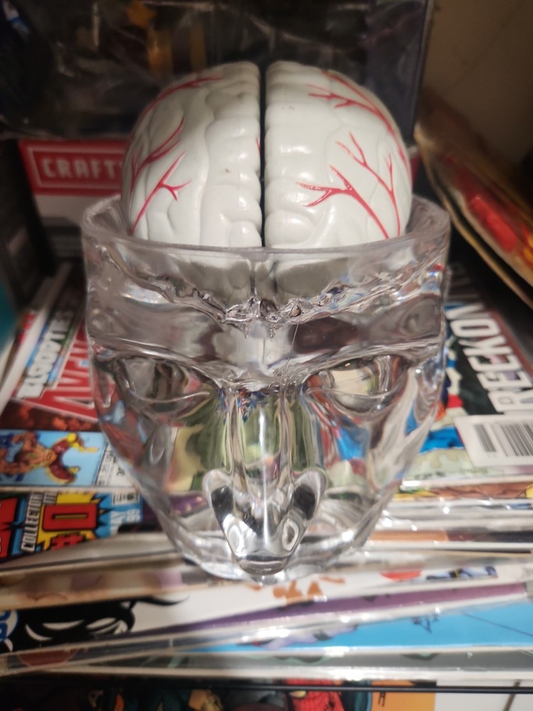 Seroquel Human Brain Anatomy Model w/ Clear Skull PharmaDesign Medical Display