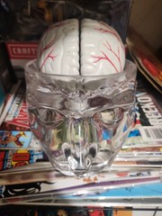 Seroquel Human Brain Anatomy Model w/ Clear Skull PharmaDesign Medical Display