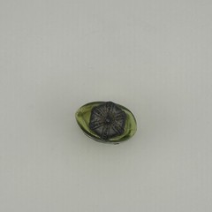 Vintage 1900s Green Pharmacy Drug Btl Royal Lime & Crown Stopper