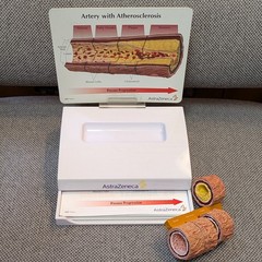 Drug Rep Promo Cholesterol Artery Display Model w Educ. Flyers AstraZeneca