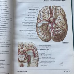 Pharmaceutical Norvatis Promo DIOVAN Cardiovascular Anatomy Hardcover Book