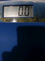 Geodon Prescription Weight Scale Pharmaceutical Promotion Advertisement