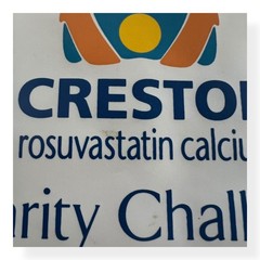 VTG PGA Crestor Rosuvastatin Pharma Drug Rep Advertising Seat Cushion Golf 2004