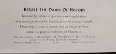 A HISTORY OF PHARMACY IN PICTURES 1954 PRINT#1 Great Gift For Doctor 22″×18″