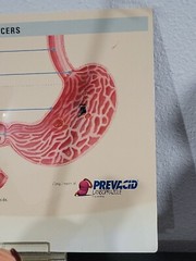 Vtg Prevacid & Zelnorm Doctor Pharmaceutical Display Esophagitis & Ulcers