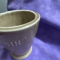 Veterinarian Schering Gentocin Solution Mortar & Pestle Horses Ceramic Mug