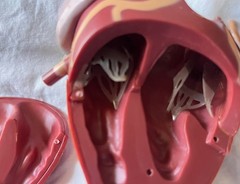 VINTAGE!! Heart Display- Retro and Super Cool!