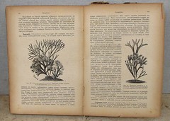 RUSSIAN ANTIQUE PHARMACOLOGY BOOK “ROSSISKAYA FARMOKOPIYA” I.KALNING ILLUST.1893