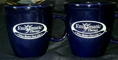 2 Enzymatic Therapy Mugs, Pharmacy Drug Rep. Dark Blue Promotional Holds 16 oz.