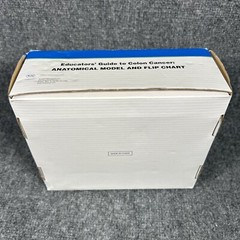 Colon Cancer Anatomical Anatomy Model Chart Display Roche Pharmaceutical Xeloda