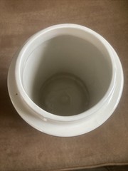 Vintage Sanicula Apothecary Porcelain Jar Pharmacy Botanical Canister