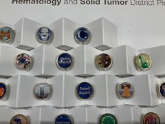 Rare Celgene 2013 National Sales Meeting District Pin Set – 50+ Pins Display