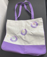 Advair Tote Bag Zippered Pharmaceutical Drug Rep Inhaler Asthma Drug 20×17