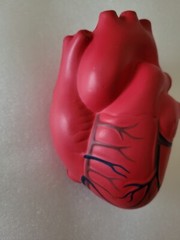 NORVASC Promo Foam Stress Reliever Heart