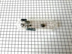 Halogen Set ampoule ultra pure periodic table Element collection