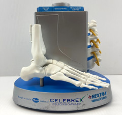 Pfizer Pharmaceutical Advertisement Celebrex Bextra Arthritis Display Model