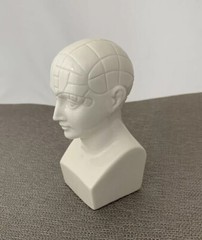 Antipsychotip Etrafon Porcelain Phrenology Bust Sculptor Edward Marshall Boehm