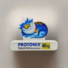 Vtg Protonix Refrigerator Magnet Clip Pharmaceutical Rep Advertisement 6.5″