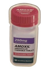 AMOXIL Die Cut Pharmaceutical Pharmacy Drug Rep Magnet 4″ x 2″