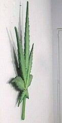 1-meter long CANNABIS LEAF Wall Display Sculpture MARIJUANA Class B Drug Weed