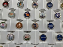 Rare Celgene 2013 National Sales Meeting District Pin Set – 50+ Pins Display