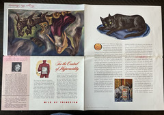Abbott Laboratories La Roche Medical Advertising Flyers Warner Dayanim LOT VTG