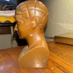 Paxipam Vintage Phrenology Bust, Medical Advertising Paperweight 5”x 2.4”