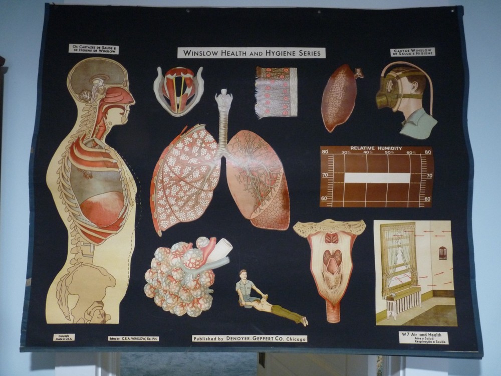 „AIR & HEALTH“ 1930S PULL DOWN MEDICAL CHART , DENOYER GEPPERT 44X36