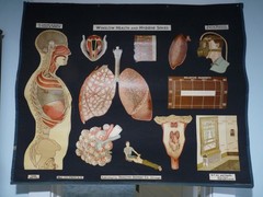 „AIR & HEALTH“ 1930S PULL DOWN MEDICAL CHART , DENOYER GEPPERT 44X36