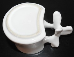 Spine Vertebrae Handle Ceramic Coffee Mug Medical Advertising Great Handle