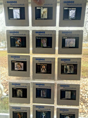 Rare 1982 SANDOZ Migraine Art Book „It’s All In Your Head“ + 35mm SLIDES Pharma