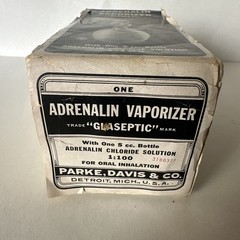 Antique Adrenalin Vaporizer Set Glaseptic Parke Davis & Co Detroit MI Complete