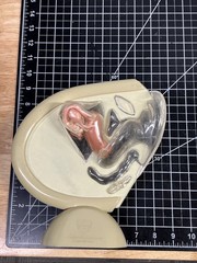 VTG 1950s Female Vaginal Medical Anatomy Model Ortho Pharmaceutical Raritan N.J.