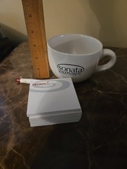 MIXED LOT Pharmaceutical Drug Rep PROMO Giveaways Sonata Lexapro