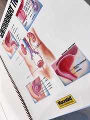Vintage Pharmacutical Patient Education Body anatomy Rare Collectible P & G