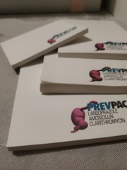 VTG Prevacid & Prevpac Post-it Note Lot Merck Stomach Illustration Drug Rep Swag