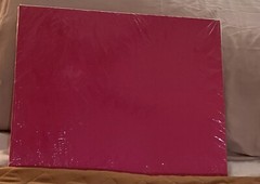 AMBIEN CR Pharmaceutical Pharma Drug Rep Desk Blotter Sealed 19” X 15”