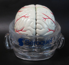 Head Skull Brain Model Seroquel Medical Pharmaceutical Lucite Medical Display