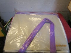 New ADVAIR Tote Bag 20x17x5″ Pharmaceutical Drug Rep Inhaler Asthma Vinyl Zip