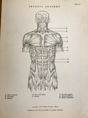 1930 Anatomical drawing Set Of 50 „Plates“ From The Art Guild Academy Of LA