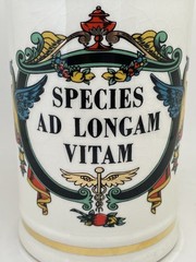 MCM Jeanna Robinette “Species Ad Longham Vitam“ 16thCent. Replica Apothecary Jar