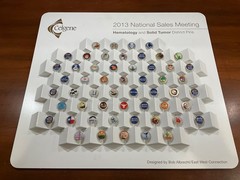 Rare Celgene 2013 National Sales Meeting District Pin Set – 50+ Pins Display