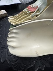 Vintage Merck Benemid/Indocin Advertising Display Foot Anatomical Store Model