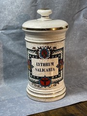 Ceramic Apothecary Pharmacy Jar Lythrum Salicaria Lidded Canister