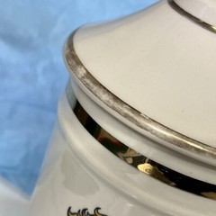 Radix Verat Vir Pharmacy Jar Multicolor Detail Ceramic Apothecary Canister Lid