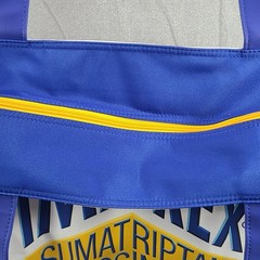 Imitrex Pharmaceutical Tote Bag Heavy Duty Large Drug Rep Promo Zipper Closure