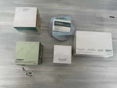 Lot of Pharmaceutical Drug Rep Notepad Sticky Notes AvaPro Ortho Loestrin
