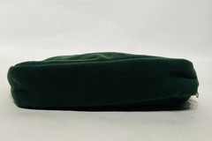Rozerem Ramelteon Bag Case TAKEDA Drug Rep Sleep Small Travel Green Faux Velvet