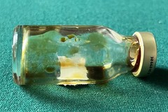 vtg empty clear brown amber vial CEFOXITIN antibiotic for display